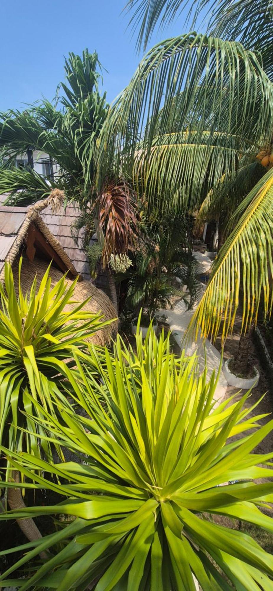 Tricky Trees Sunset Bungalows Gili Air Luaran gambar